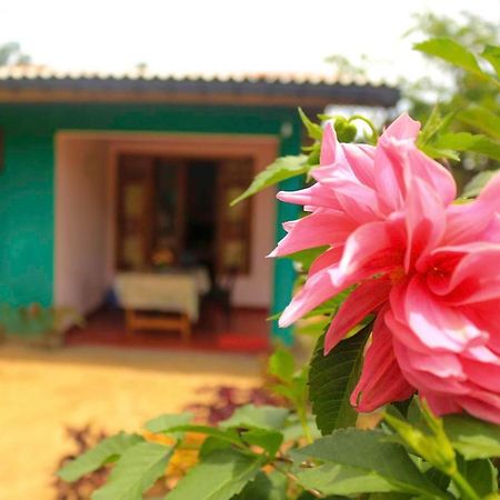 Yoho Nilmini Homestay Ella Exteriör bild