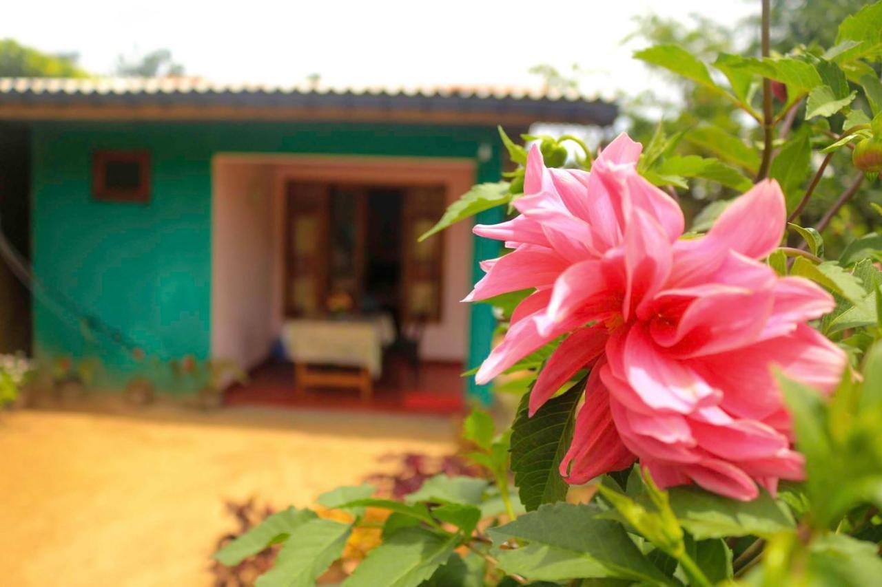 Yoho Nilmini Homestay Ella Exteriör bild